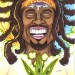 5-11 BobMarleyWEB © Brandt Hardin